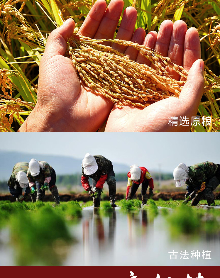 【六一半价购】限时秒杀 中邮一黑一白【三河站】东北大米 长粒香5kg/袋【真空包装】