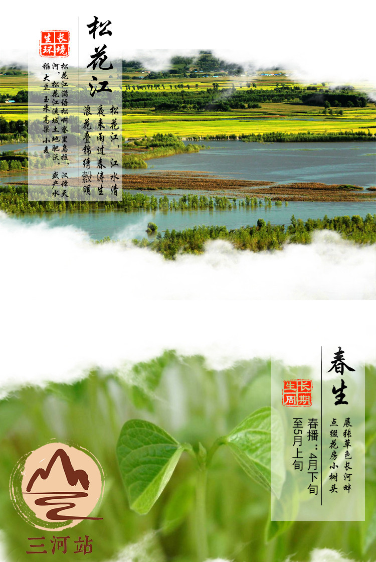 三河站 【吉林邮政】【东北特产】绿豆400g/袋【邮储】