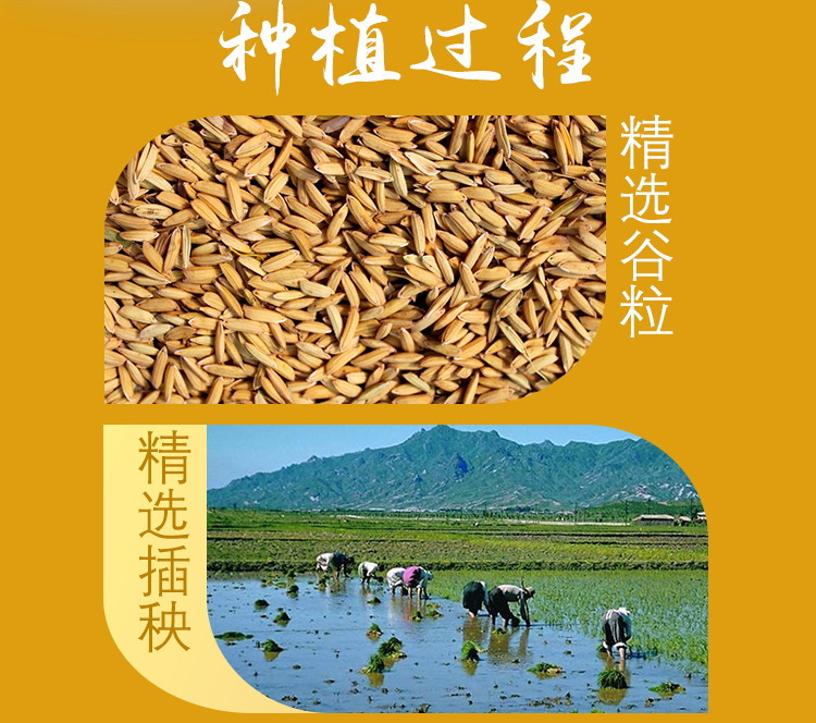 【吉林三河站】吉林大米长粒香2.5kg/袋