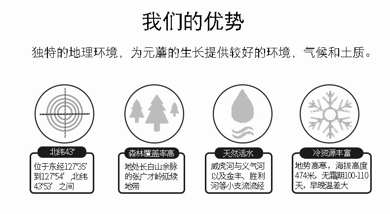 三河站 【吉林邮政】100g东北精选元蘑