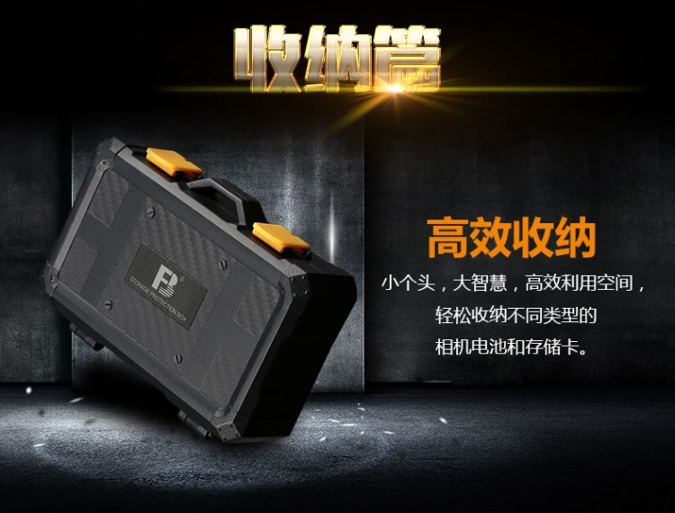 沣标(FB) 储存卡收纳盒LP-E6电池盒fz100索尼SD卡盒CF内存卡保护盒