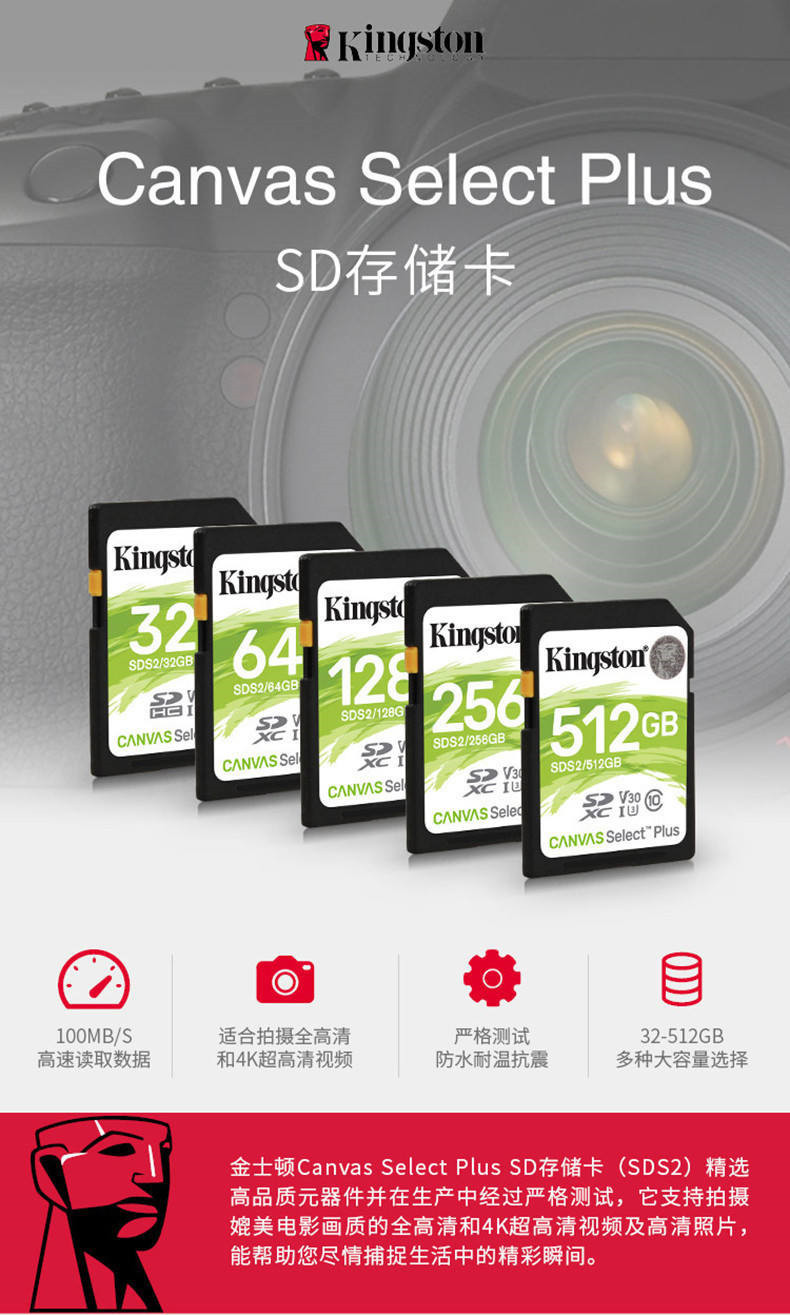 金士顿/Kingston SD卡 256G内存卡 100MB/s读取 高速相机卡 数码相机 存储卡