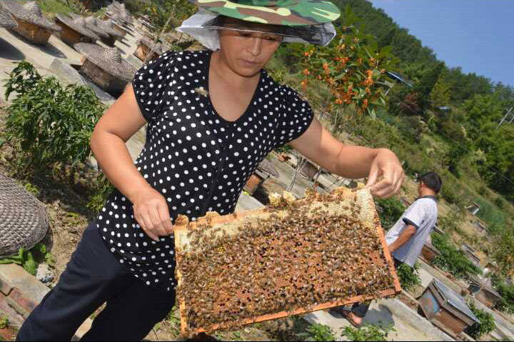  四川达州特产 追逐春天 天然自产荆条蜜450g