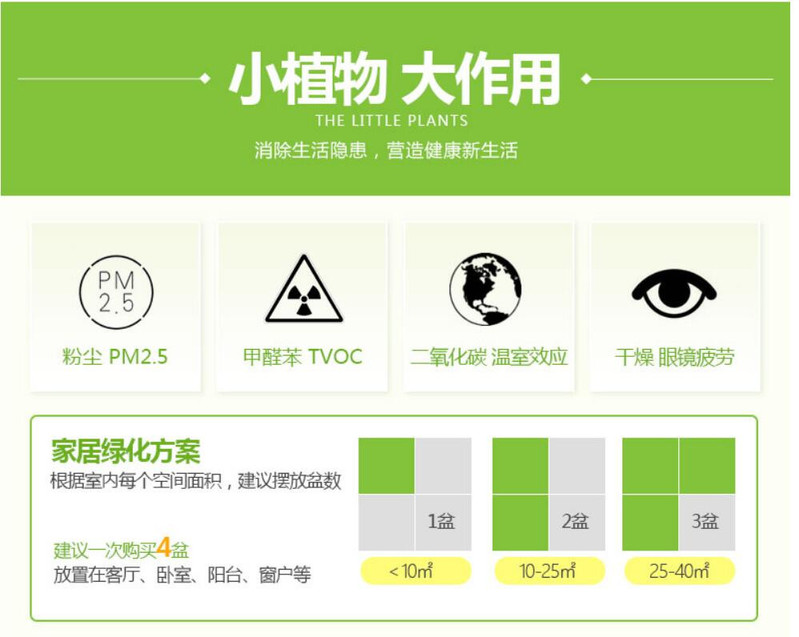 【邮乐漳州馆】发财树 袖珍奋斗盆栽发财树植物办公室内客厅吸甲醛净化空气绿植盆栽含盆 ZZDL