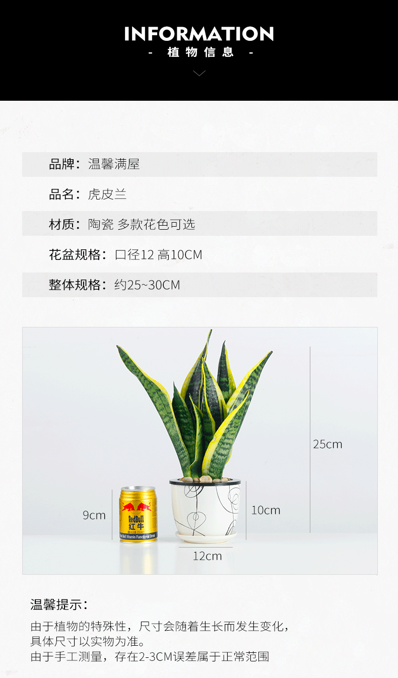 【邮乐漳州馆】虎皮兰黑圆纹懒人吸水盆绿植盆栽办公室内净化空气防辐射植物盆景含盆包邮 ZZDL