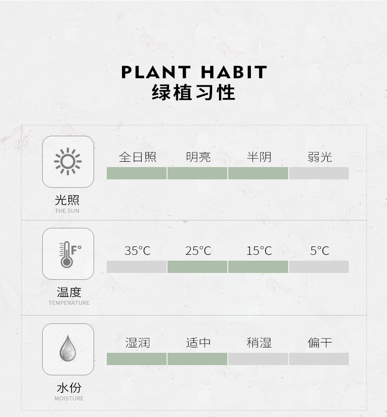 【邮乐漳州馆】虎皮兰黑圆纹懒人吸水盆绿植盆栽办公室内净化空气防辐射植物盆景含盆包邮 ZZDL