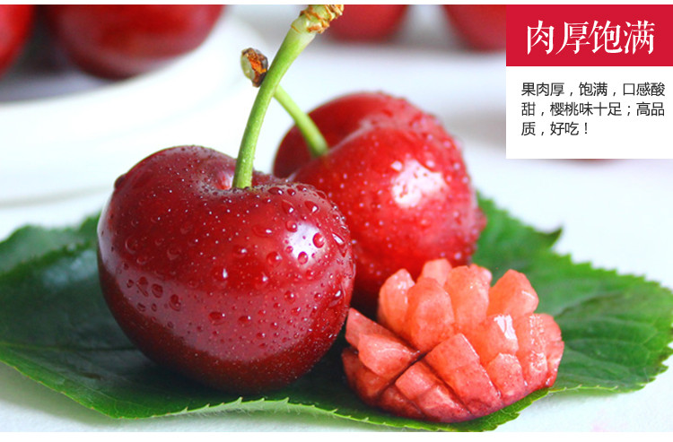 藏邮鲜 汶川.甜樱桃 3斤装(采摘新鲜发货及时，限量优惠促销，数量有限)（车厘子）
