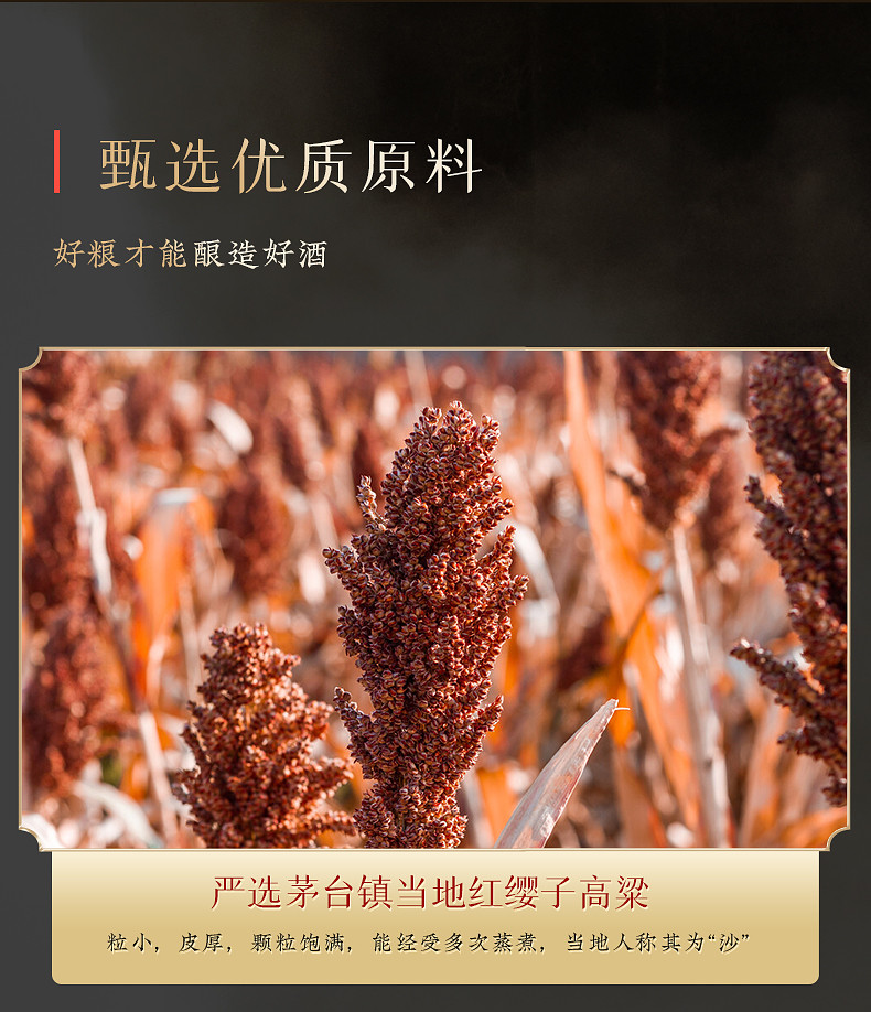 净台 53%vol酱香型白酒净十五系列