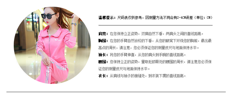 雷斯英杰/LEISIYINGJIE  2017年新款女士运动休闲套装 二件套 韩版修身显瘦女士卫衣