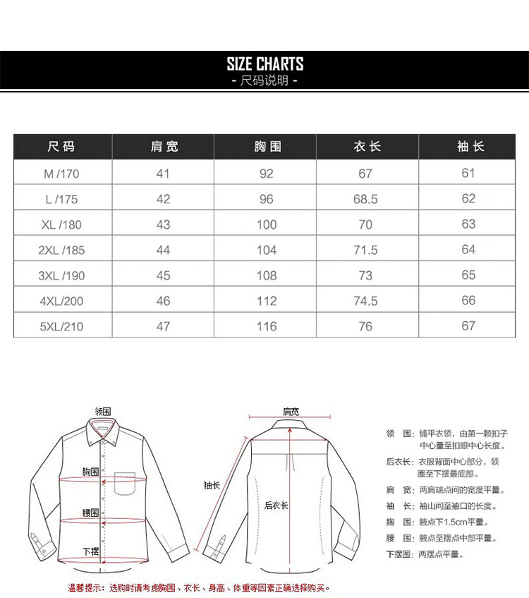 雷斯英杰/LEISIYINGJIE新款春季长袖衬衫男修身免烫休闲时尚弹力衬衣韩版潮青年男装