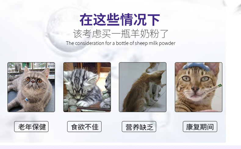 卫仕 NOURSE成猫专用羊奶粉 猫奶粉宠物营养品猫咪羊奶粉160g
