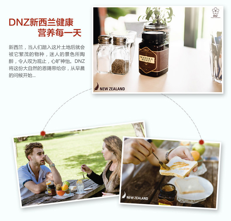 DNZ 麦卢卡活性（15+）蜂蜜500g新西兰原装进口