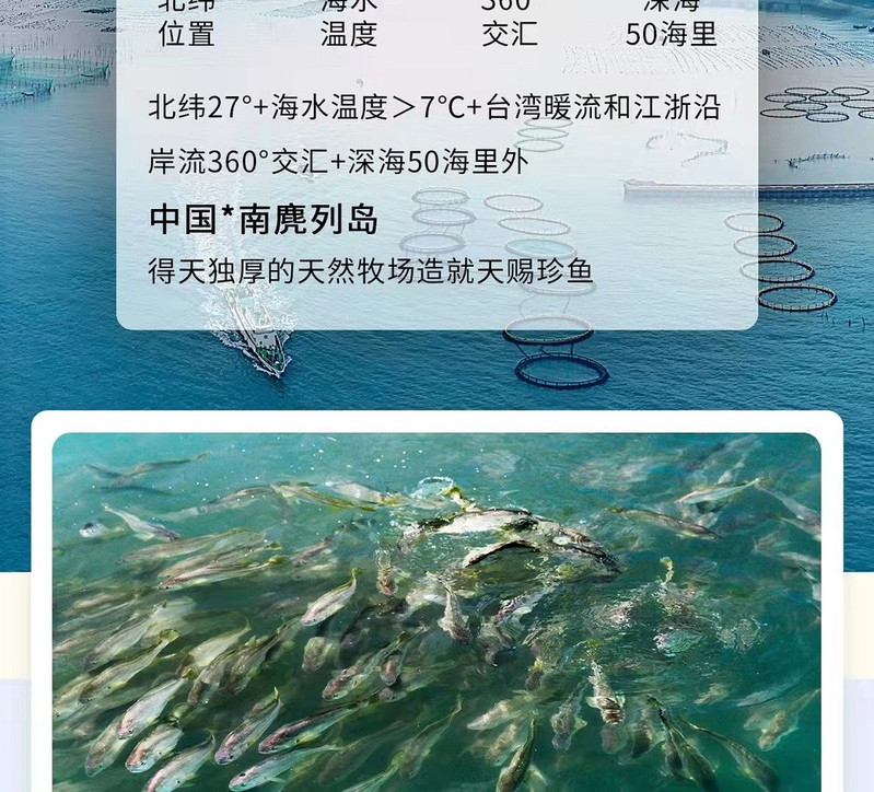 麂东 深海养殖  南麂 大黄鱼 150g/条  5条装