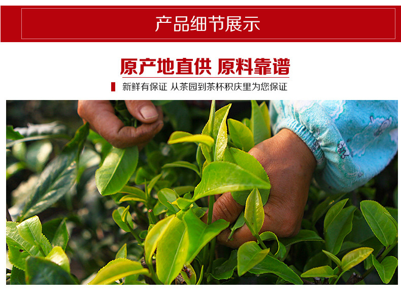 积庆里广东特产 正宗英德红茶英红九号 红茶茶叶 罐装一级蜜兰香