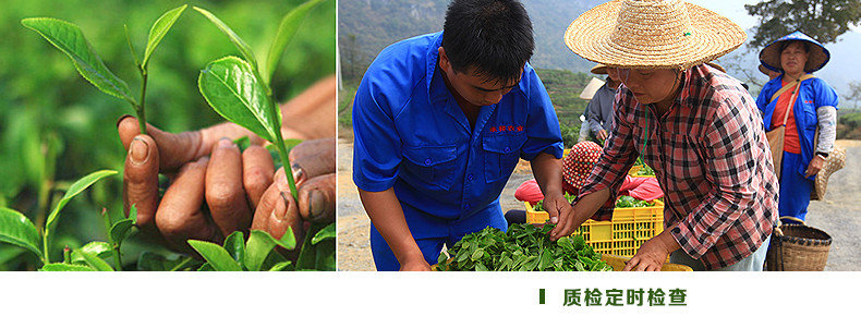 积庆里 英德梅占红茶 英德红茶 铁罐装工夫红茶