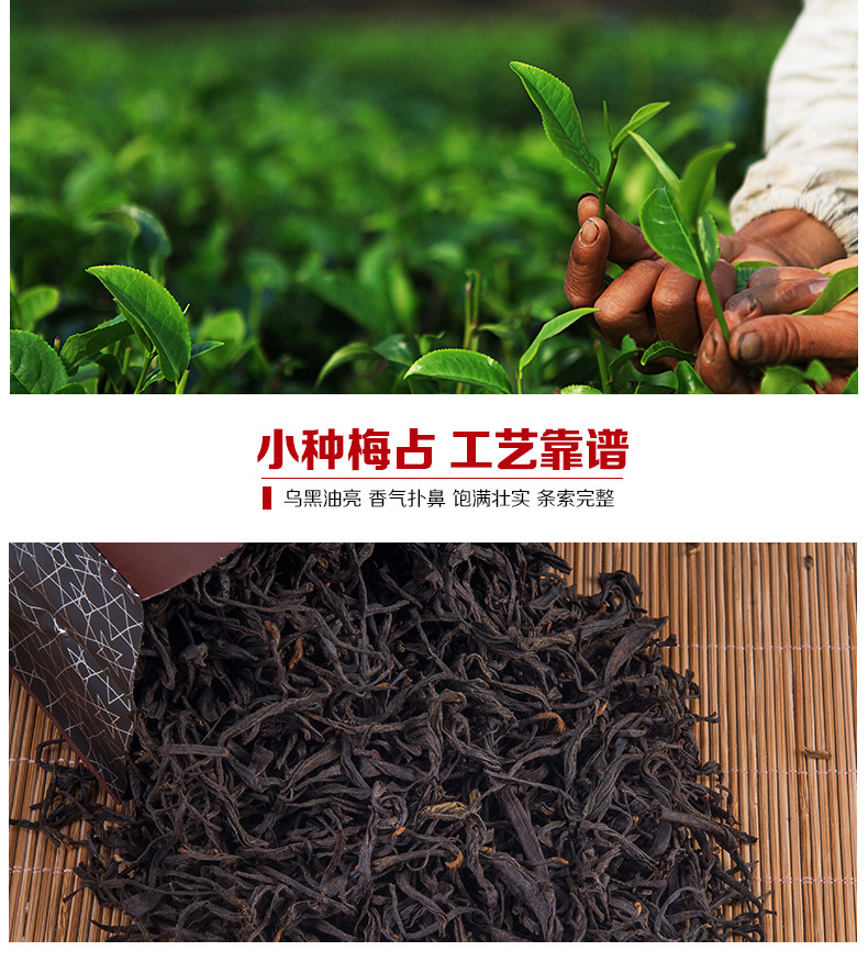 积庆里 英德梅占红茶 英德红茶 铁罐装工夫红茶