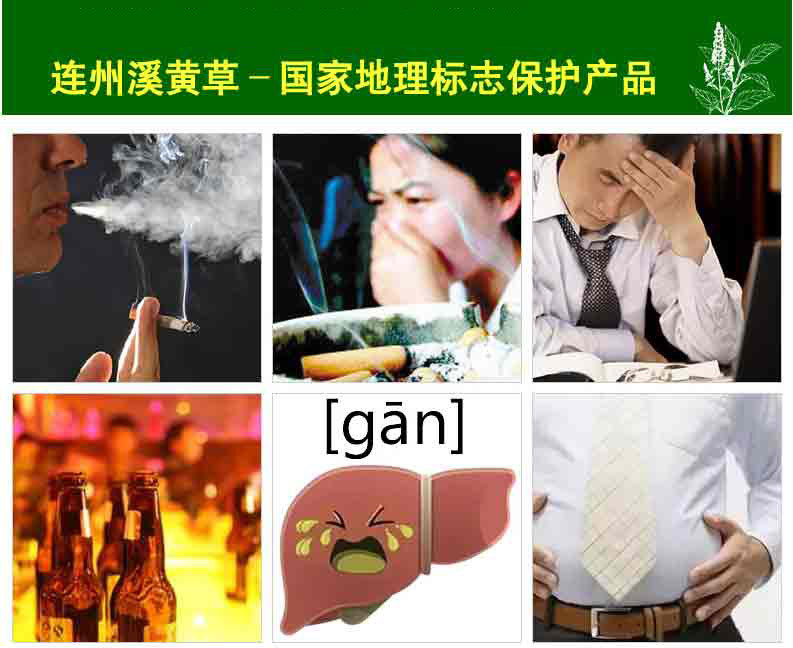 豪爽溪黄草茶 连州溪黄草 熬夜烟酒 护健康爱肝袋泡茶 送礼 正品