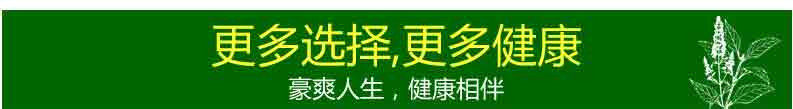 豪爽溪黄茶 连州野生溪黄草 喝护健康爱肝健康茶 袋泡茶包 金装