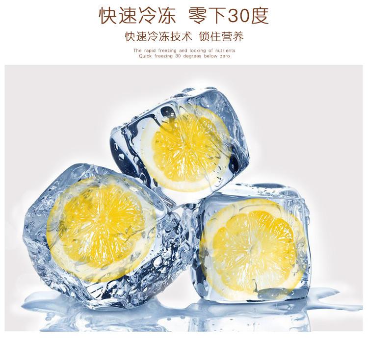 承盛堂 冻干柠檬片 酸酸甜甜 50g/罐包邮