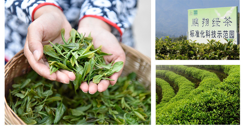 陕青特产绿茶 汉中炒青茶叶 鹏翔茶趣时光系列 散装盒装112g包邮