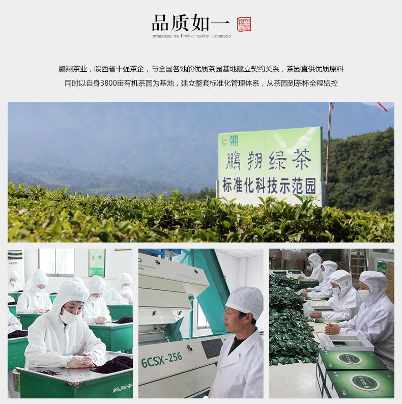 一级汉中炒青锌硒绿茶茶叶 鹏翔挚交系列 礼盒装 100g包邮