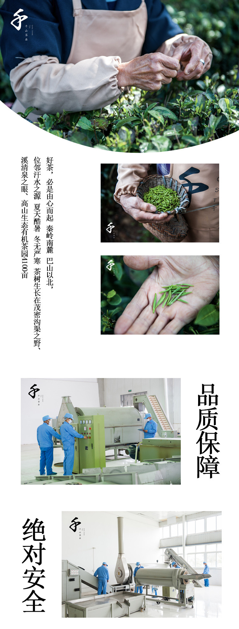 千山茶业/红蕊红茶/千山红袋250g袋