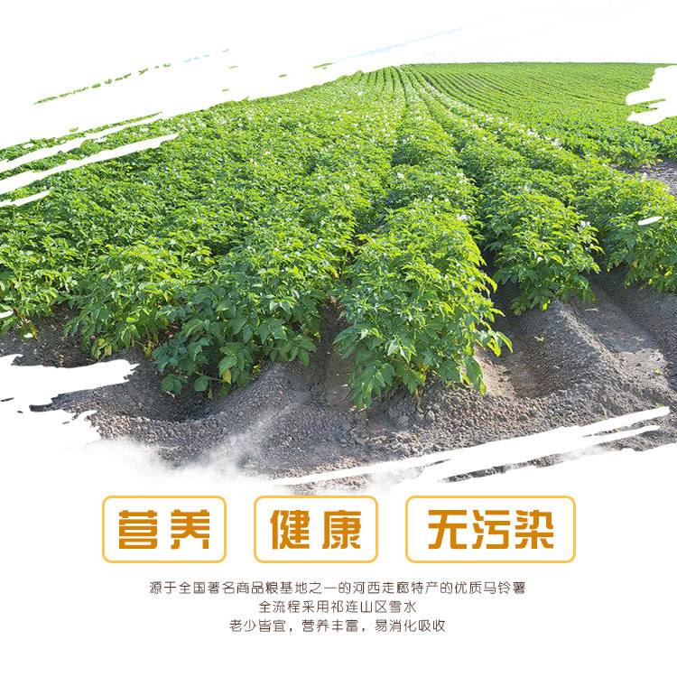 蔬琳 【全国包邮】甘肃张掖地道马铃薯手工粉条 1袋*500g(细粉)