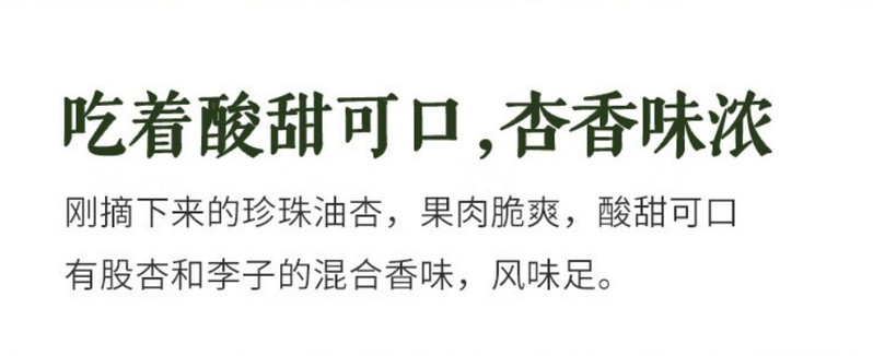 农家自产 【甘肃包邮】张掖珍珠油杏，油亮光滑，酸甜可口，现摘现发