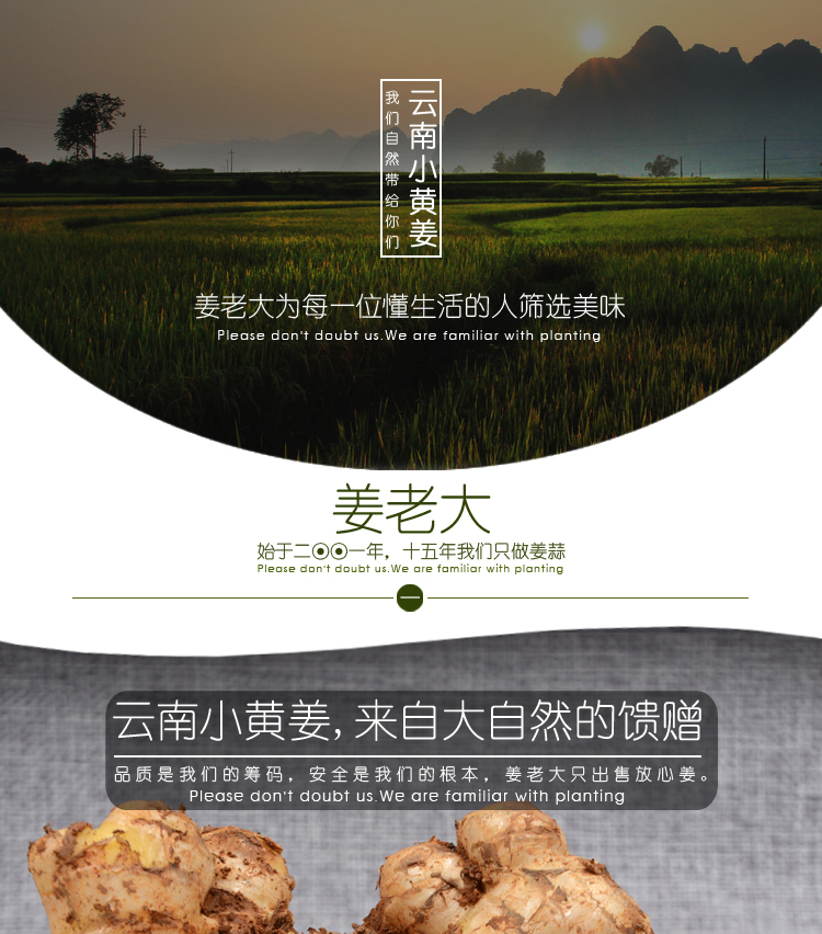 云南红河高山种植生姜 小黄姜老姜 带泥土姜怀姜2500g调味调料