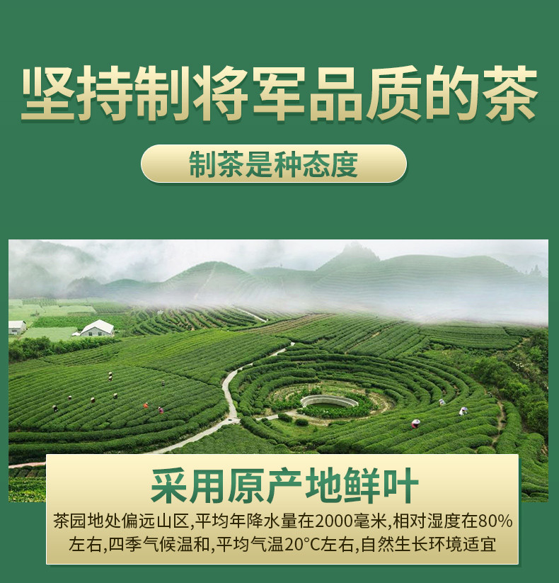 徽将军春茶2021新茶明前特级黄山毛峰绿茶茶叶安徽毛尖嫩芽250g