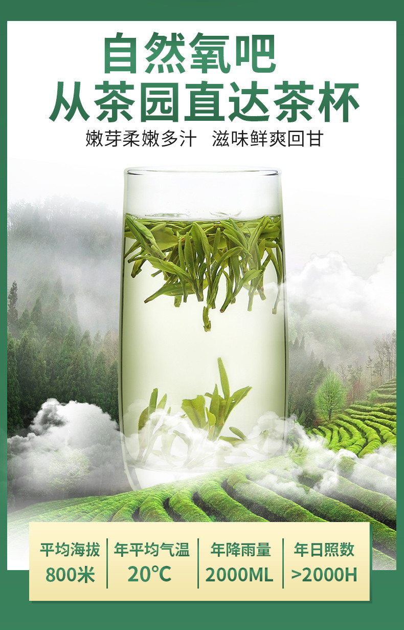 徽将军春茶2021新茶明前特级黄山毛峰绿茶茶叶安徽毛尖嫩芽250g