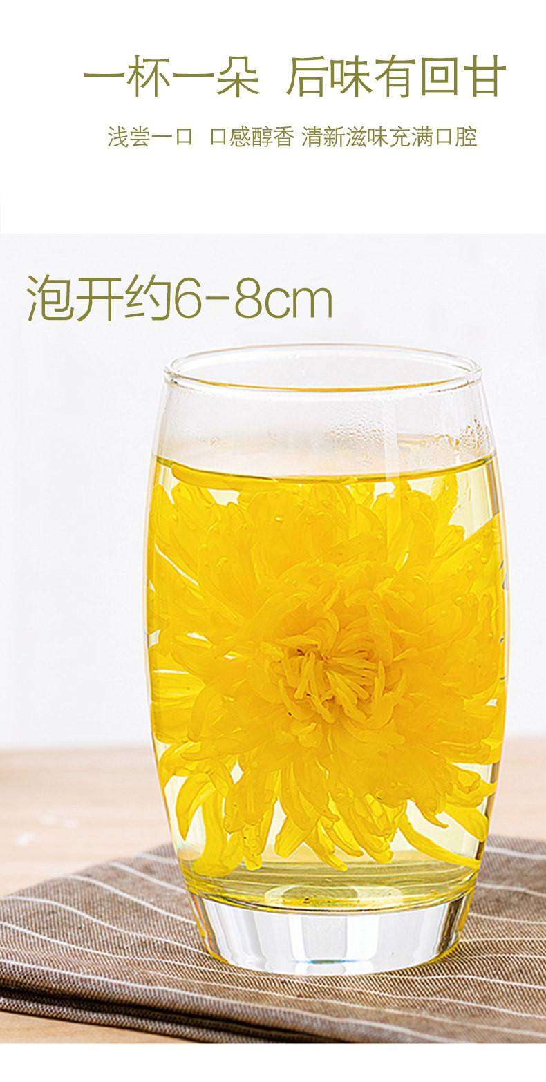 徽将军 金丝皇菊20朵 养生花草茶菊花茶一杯一朵大黄菊