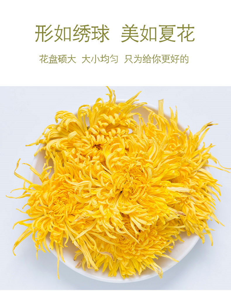 徽将军 金丝皇菊20朵 养生花草茶菊花茶一杯一朵大黄菊