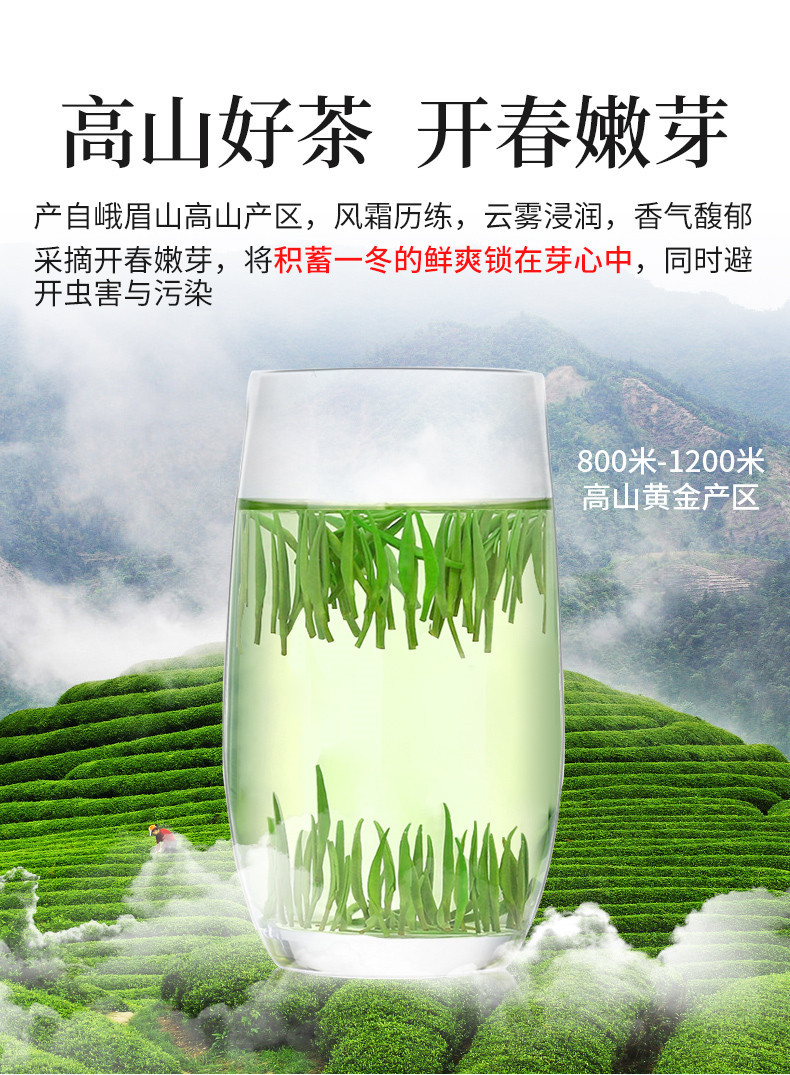 徽将军 【2021新茶直发】明前特级雀舌茶绿茶毛尖茶叶100g春茶嫩芽散装