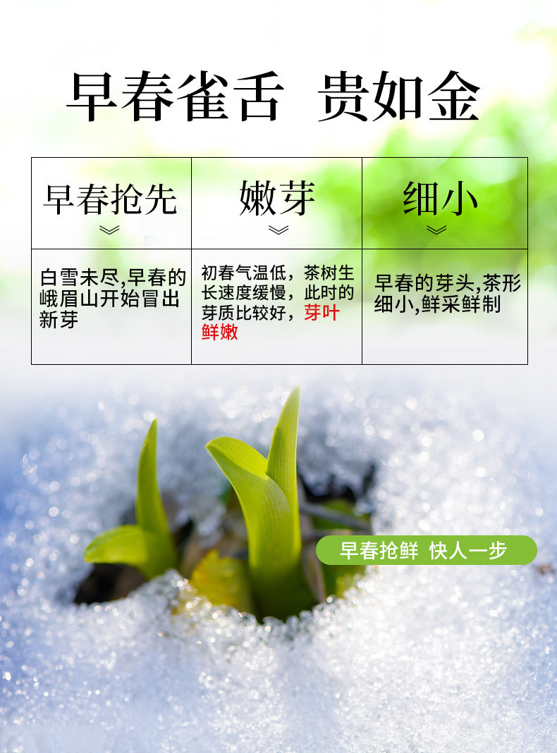 徽将军 【2021新茶直发】明前特级雀舌茶绿茶毛尖茶叶100g春茶嫩芽散装