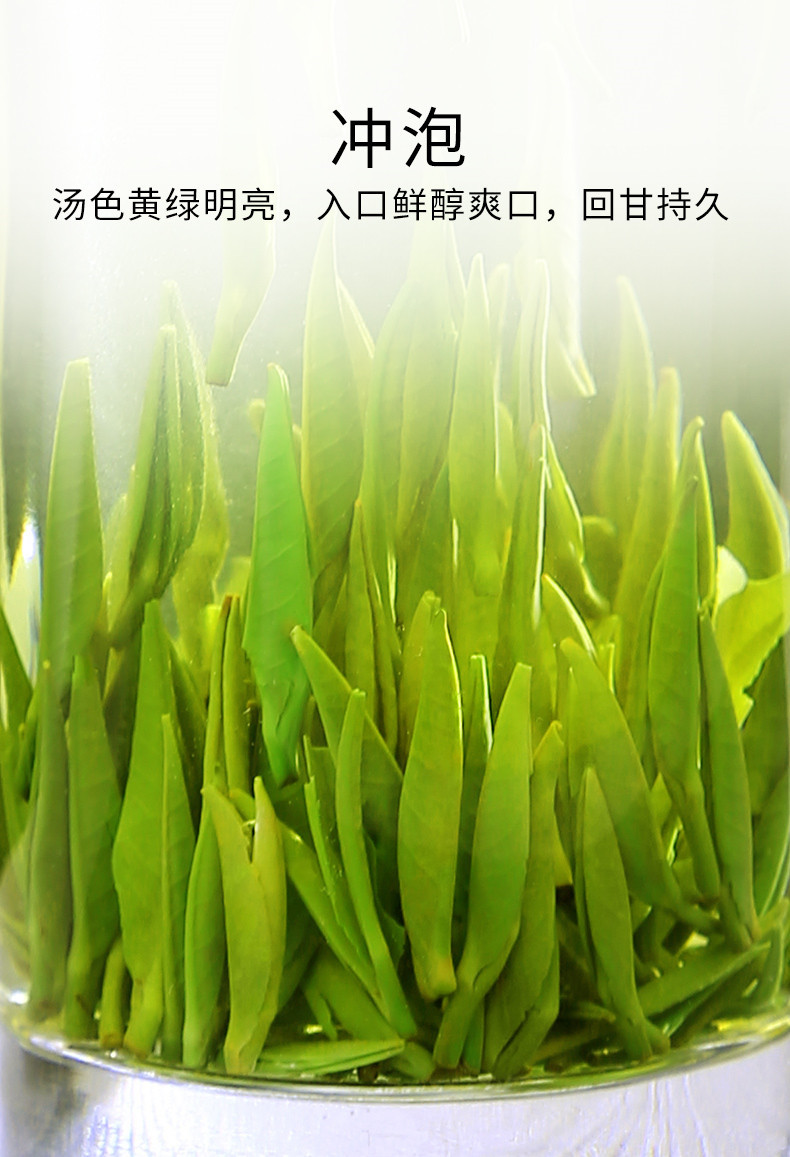 徽将军 【2021新茶直发】明前特级雀舌茶绿茶毛尖茶叶100g春茶嫩芽散装