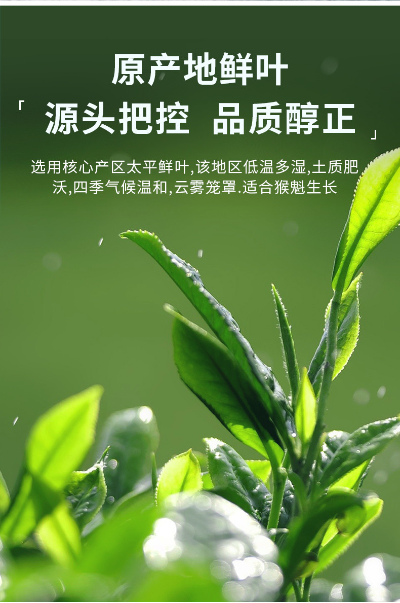 徽将军2021新茶猴魁绿茶太平布尖茶叶特级1915春茶礼盒罐装250g