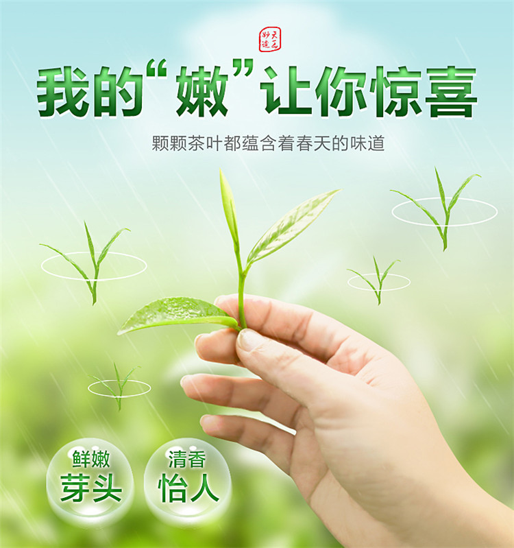 徽将军 碧螺春茶叶绿茶2021新茶特级苏州明前散装毛尖茶250g