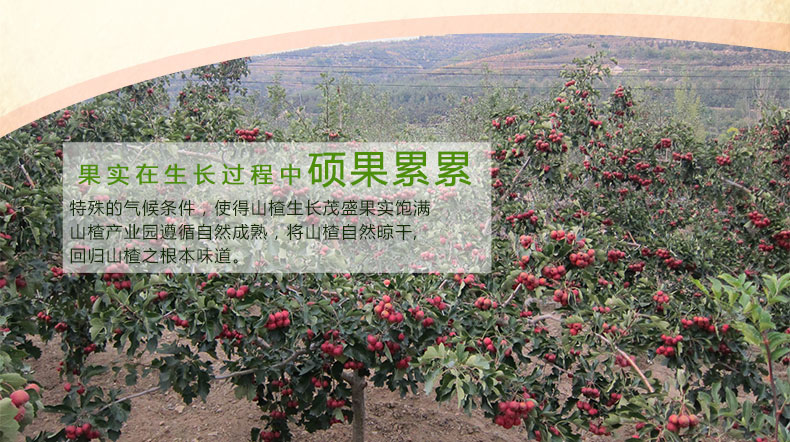 百分果-山楂片山楂干 200g开胃零食蜜饯小吃 蜜饯新鲜山楂糕 零食