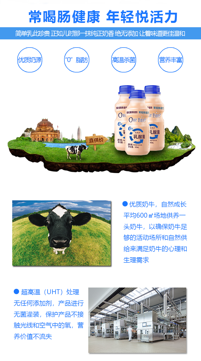 【领劵立减11元】乳酸菌饮品早餐儿童牛奶酸奶饮料340ml*12瓶原味益生菌整箱