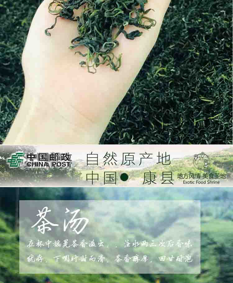 【康县扶贫地方馆】康县特产阳坝绿茶200g袋装绿茶