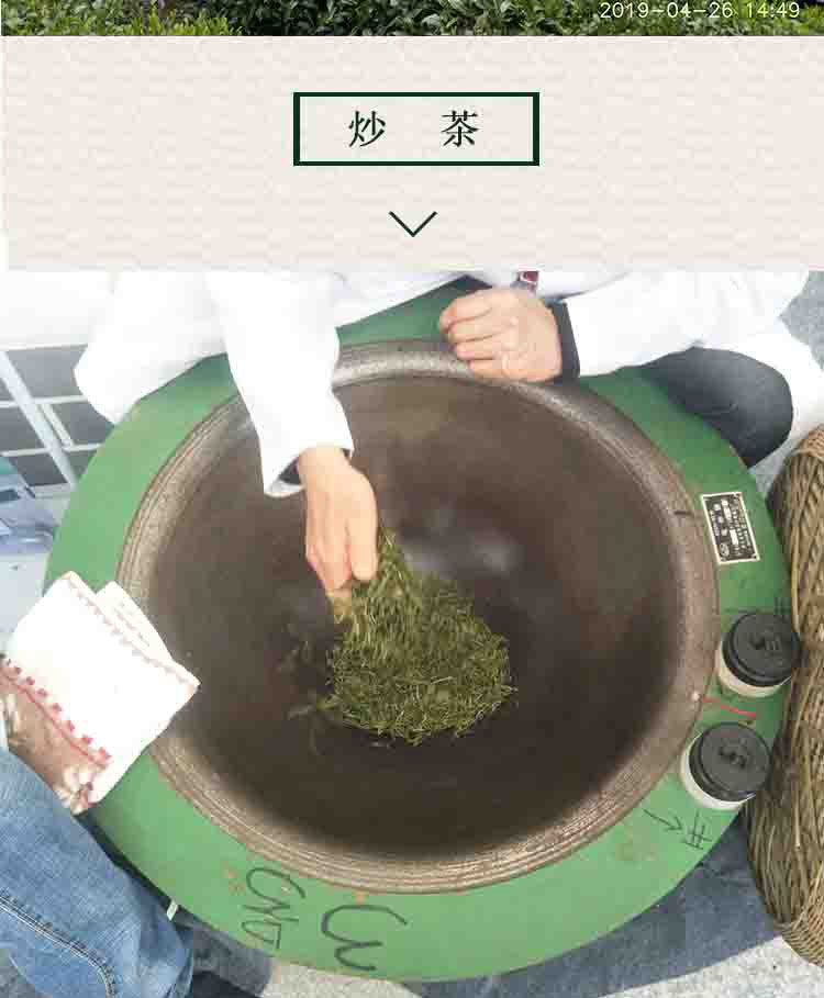 【康县扶贫地方馆】康县特产阳坝绿茶200g袋装绿茶