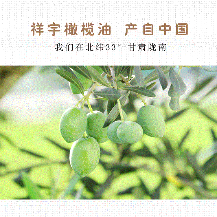 祥宇 【陇南市扶贫地方馆 】祥宇有机特级初榨橄榄油1L*2双罐礼盒炒菜烘培油食用油