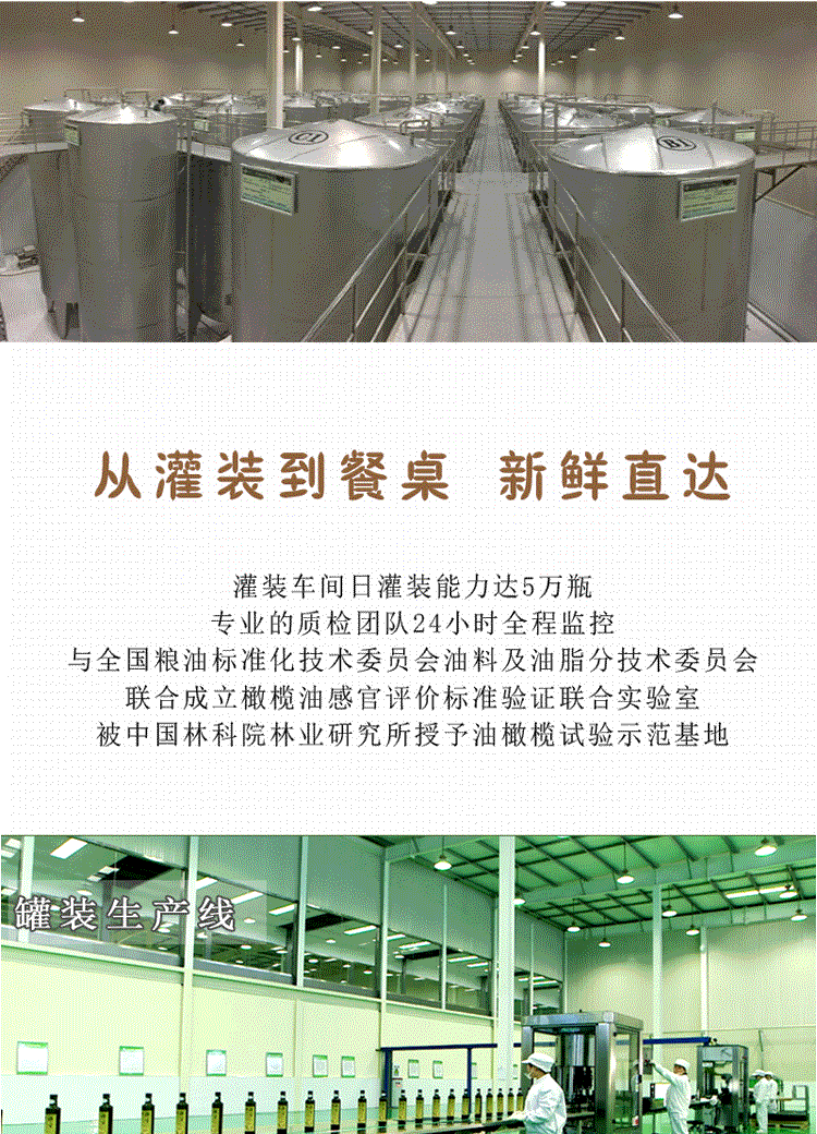 祥宇 【陇南市扶贫地方馆 】【绿尊享】特级初榨橄榄油500ml*2礼盒装炒菜油食用橄榄油