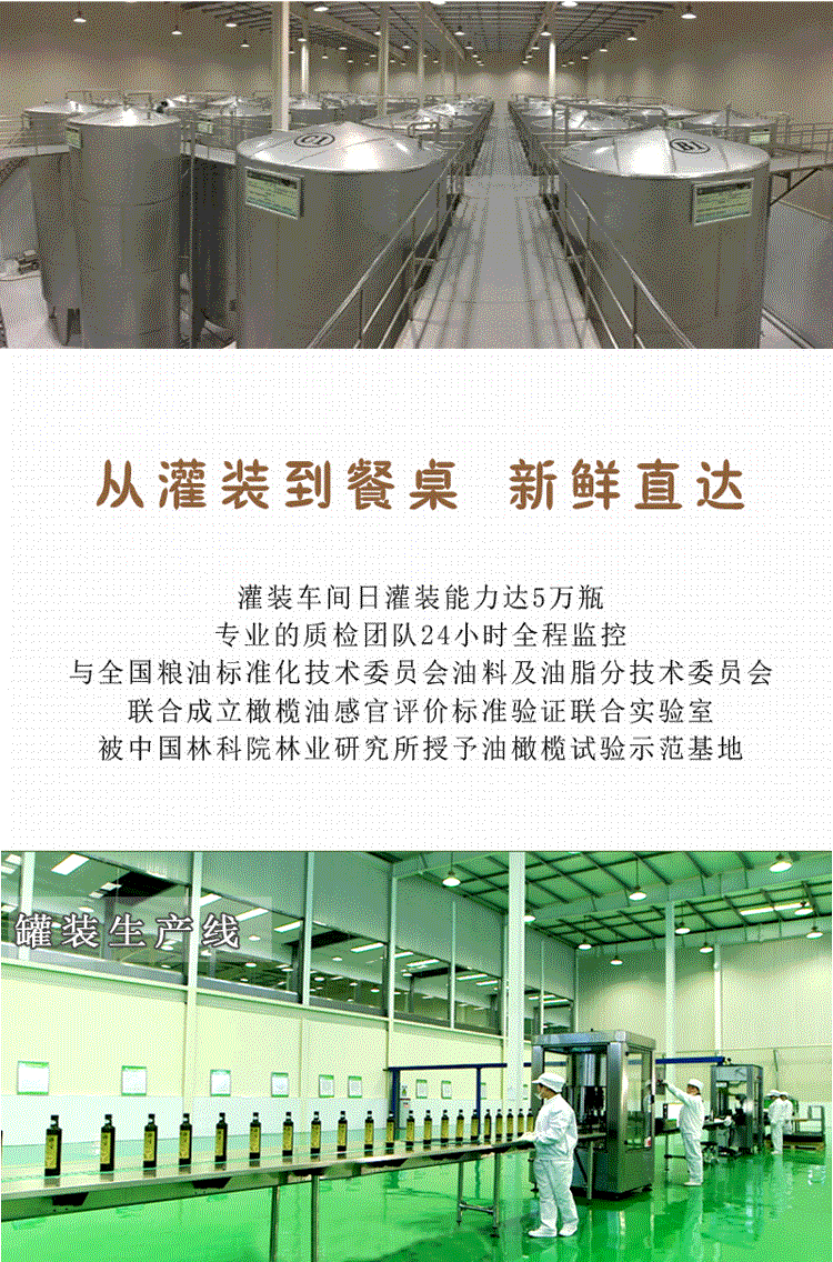 祥宇 【陇南市扶贫地方馆 】有机特级初榨橄榄油500ml*6食用橄榄油植物油凉拌油烘培油