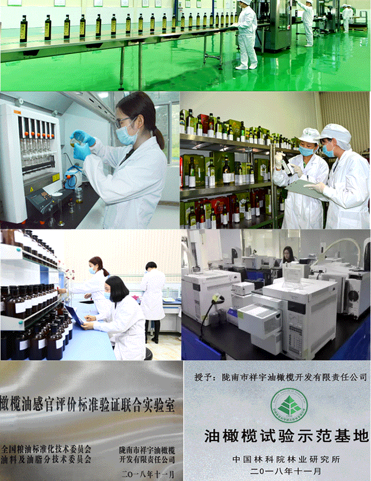 祥宇 【陇南市扶贫地方馆 】祥宇有机特级初榨橄榄油1L*2双罐礼盒炒菜烘培油食用油