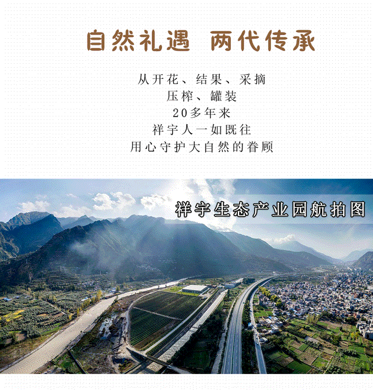 祥宇 【陇南市扶贫地方馆 】祥宇有机特级初榨橄榄油500ml/瓶食用油植物油炒菜油/口服油