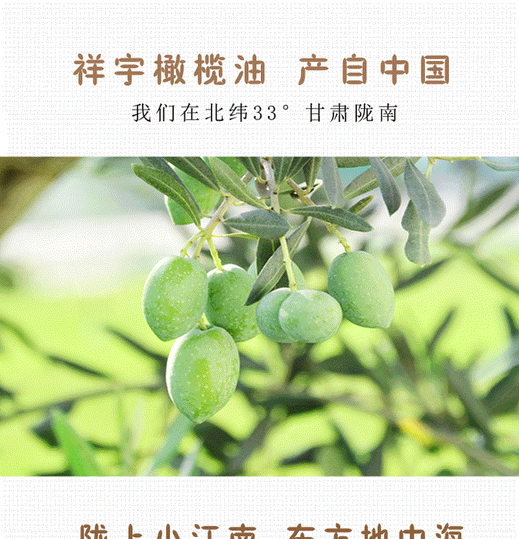 祥宇 【陇南市扶贫地方馆 】特级初榨橄榄油250ml*1瓶有机植物油食用油辅食油