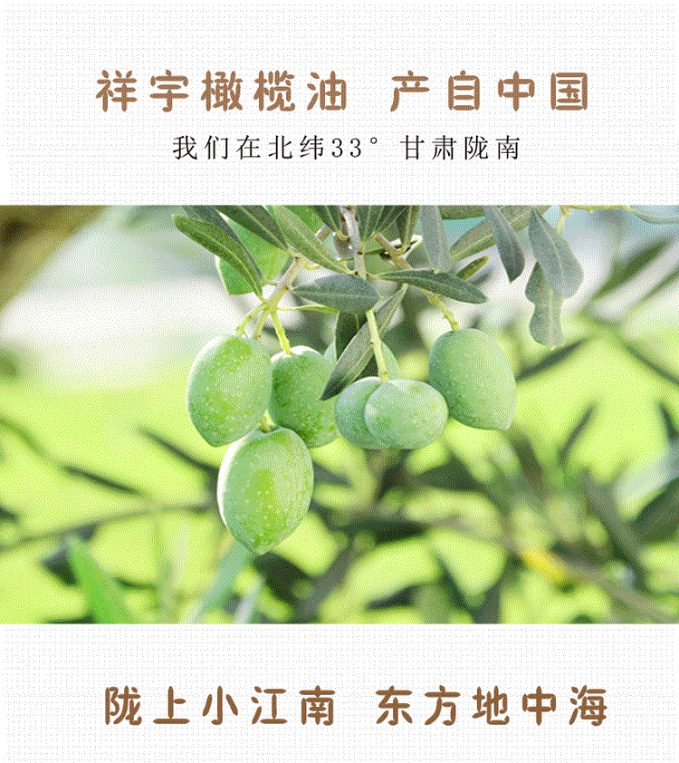 祥宇 【陇南市扶贫地方馆 】祥宇有机特级初榨橄榄油500ml/瓶食用油植物油炒菜油/口服油