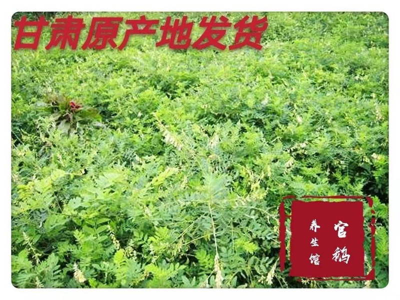 【宕昌振兴馆】大山深处千年药乡黄芪==体验装5袋（18g/袋*5袋）（一盒20袋）两盒送手提袋